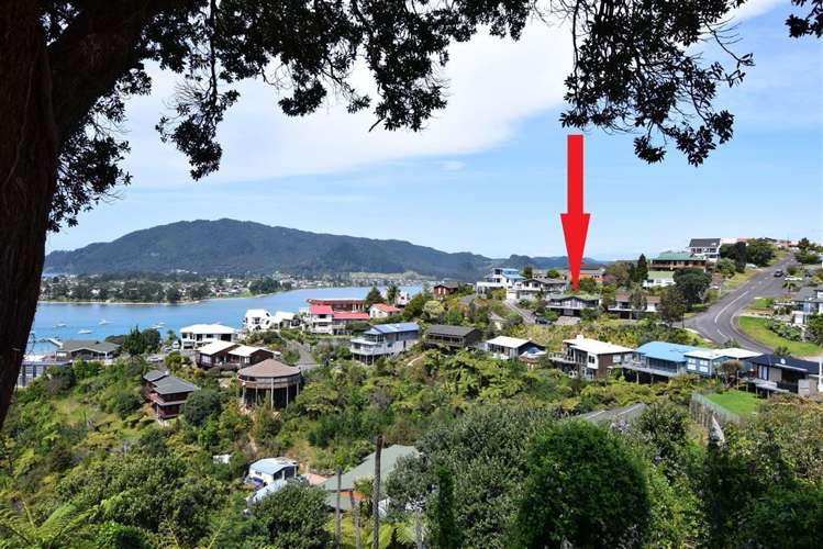 3 Pine Grove Tairua_23