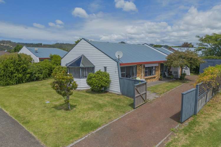 7 Springbok Avenue Whitianga_16