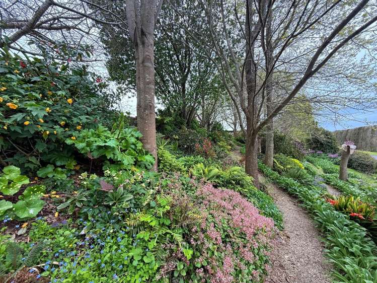 154 Ohinepanea Road Pukehina_44