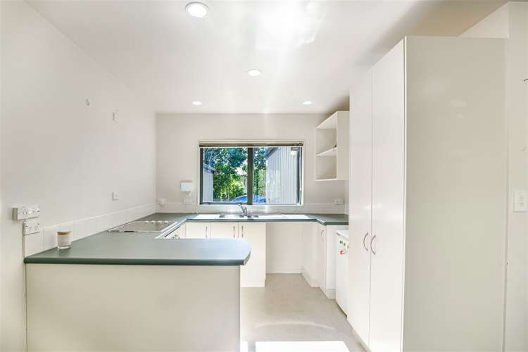 135e Triangle Road Massey_7