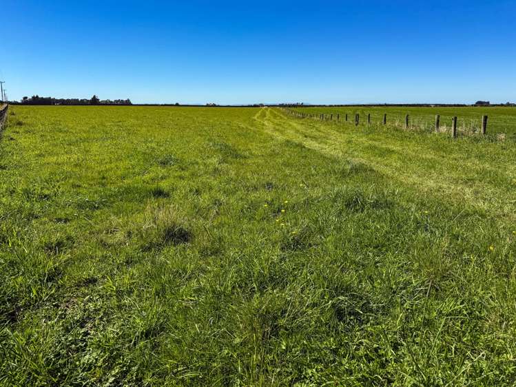 486 Irving Road and 150 Angle Road Woodlands_15