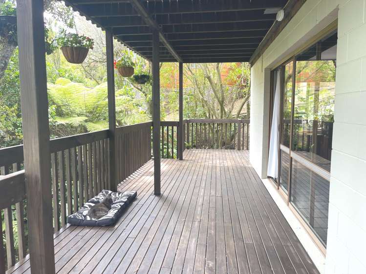 115 Stredwick Drive Torbay_16