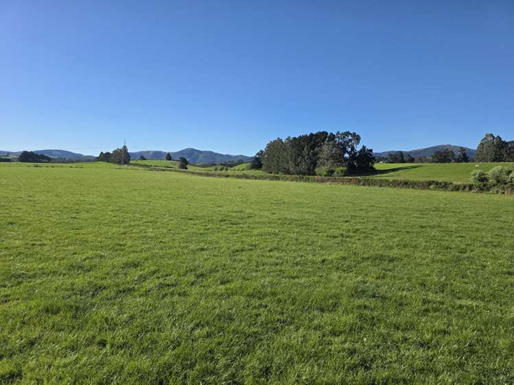 351 Loburn Kowai Road Loburn_43