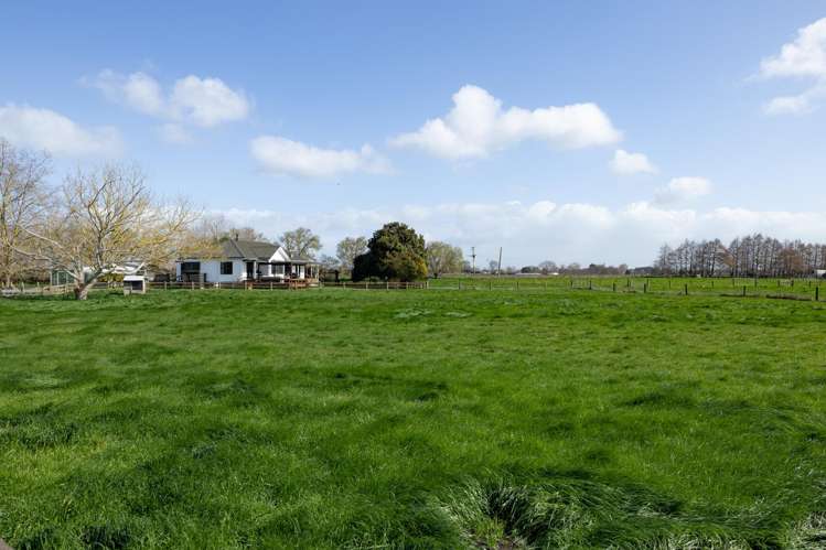 284 Shewan Road Gordonton_20