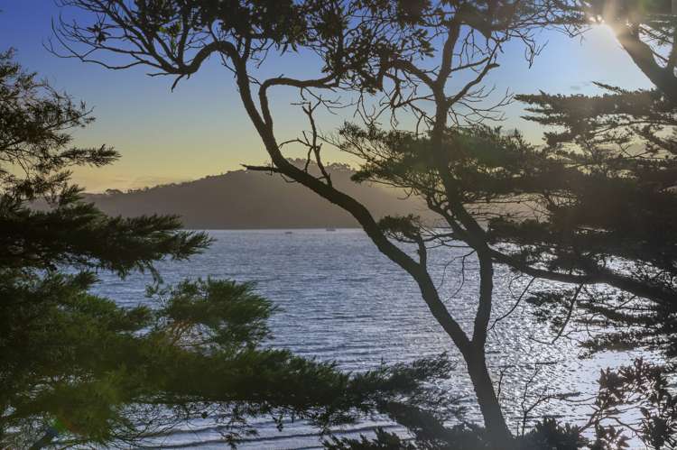 24 Miami Avenue Surfdale_27