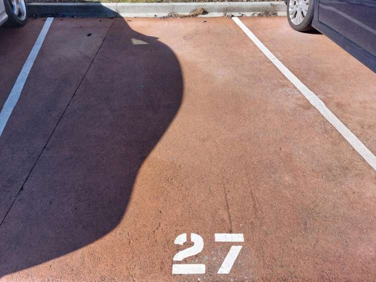 208 Eileen Newey Place 11401_10