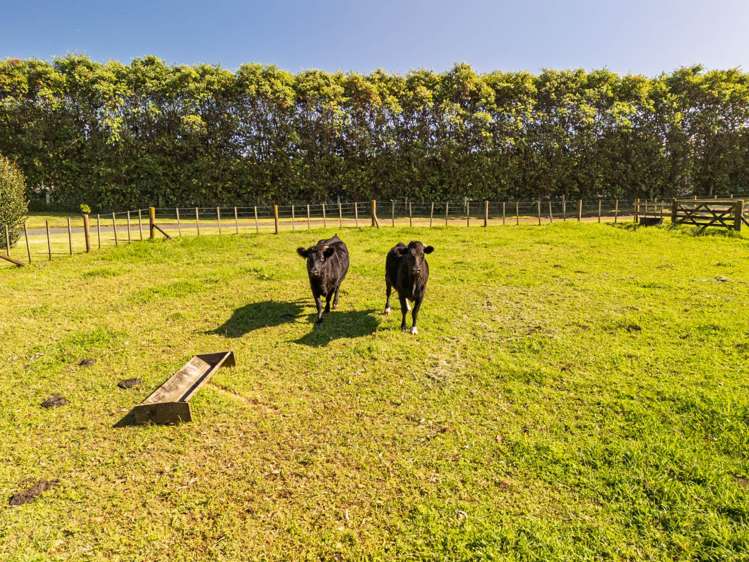 270 Kapiro Road Kerikeri_17