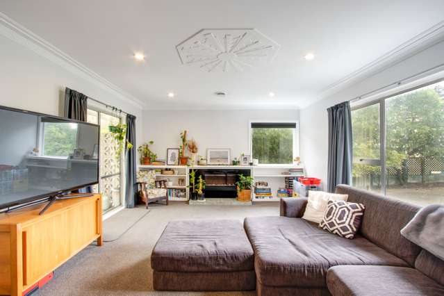 190 Te Awa Avenue Awatoto_4