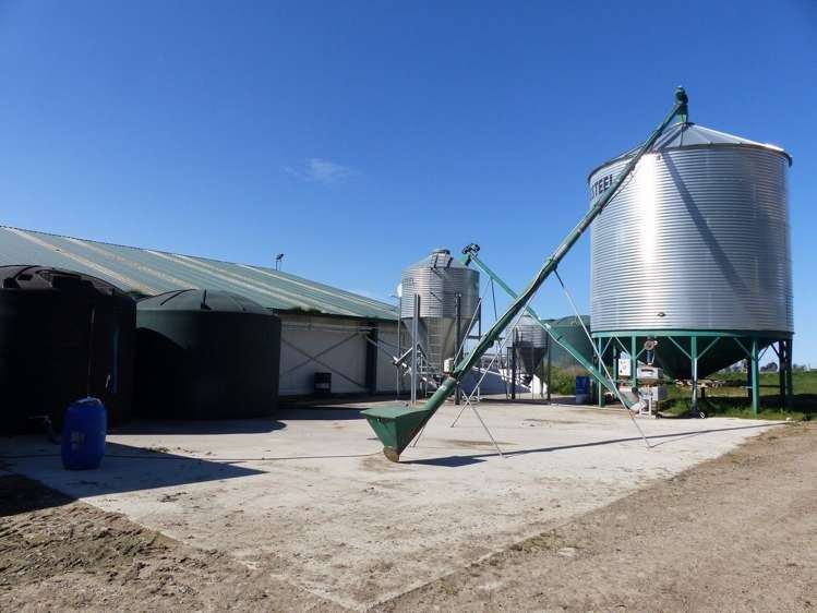 277 Mill Road Waimate_9