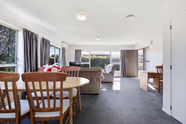 108C Fifteenth Avenue Tauranga South_2