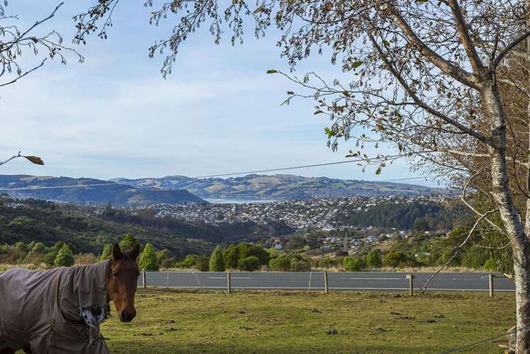 92 Dalziel Road Halfway Bush_15