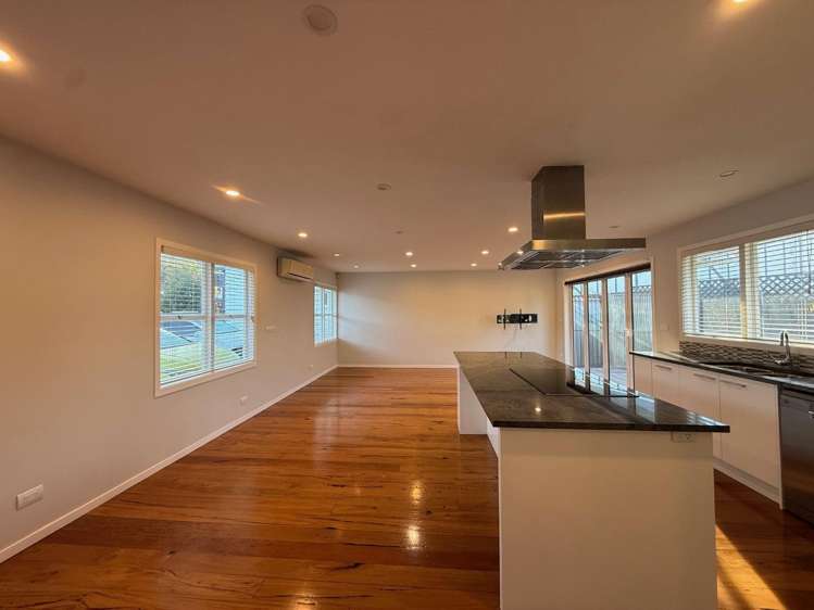 102 Owairaka Avenue Mount Albert_2