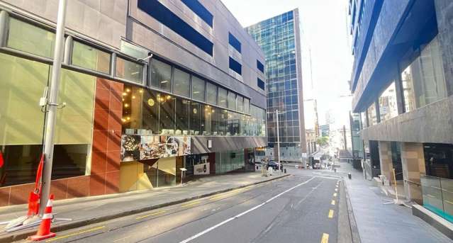19 Swanson Street Auckland Central_3