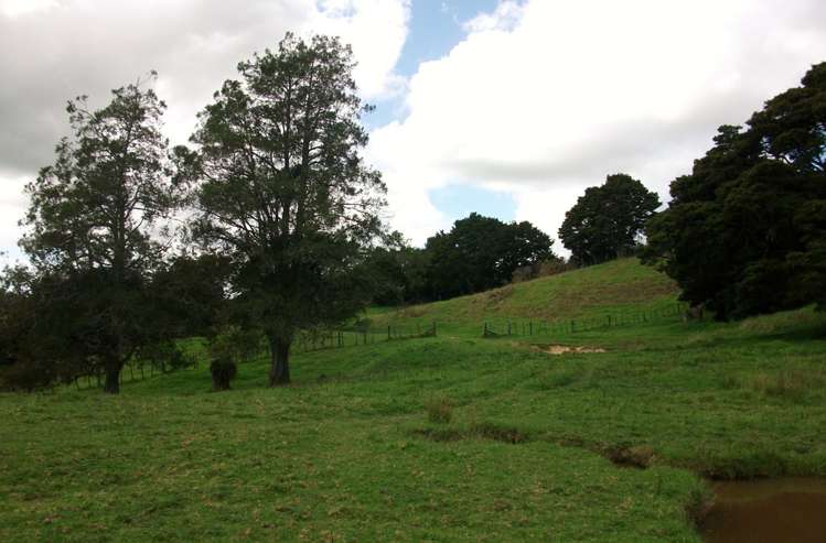 2568a Paparoa-Oakleigh Road Paparoa_5