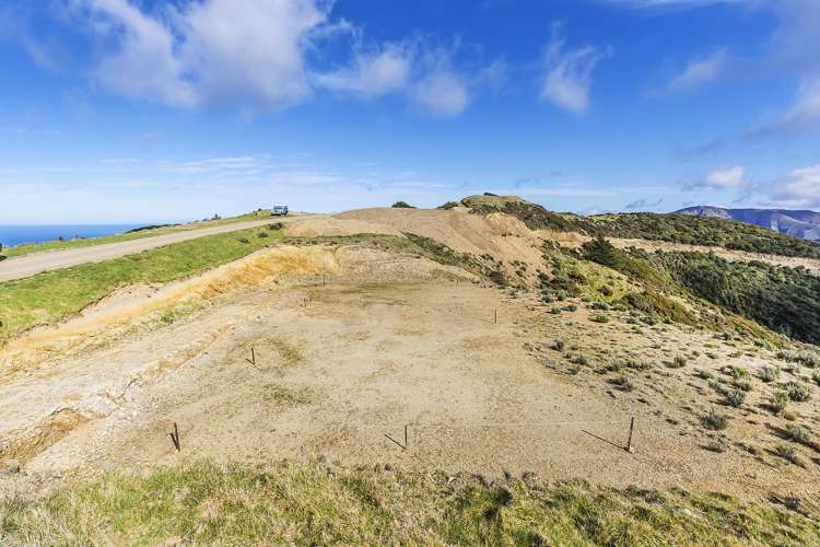 452 Southernthread Road Brooklyn_11