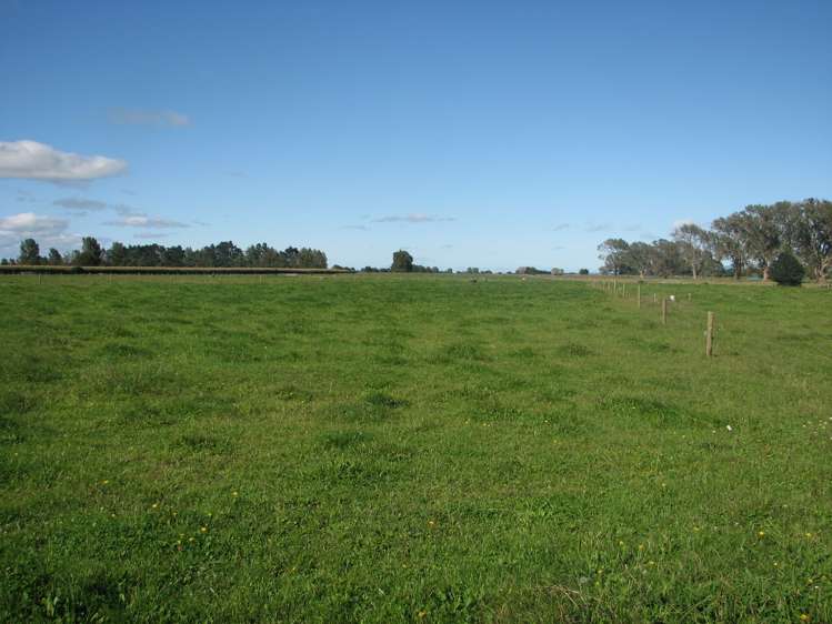 118 Costall Road Wardville_3