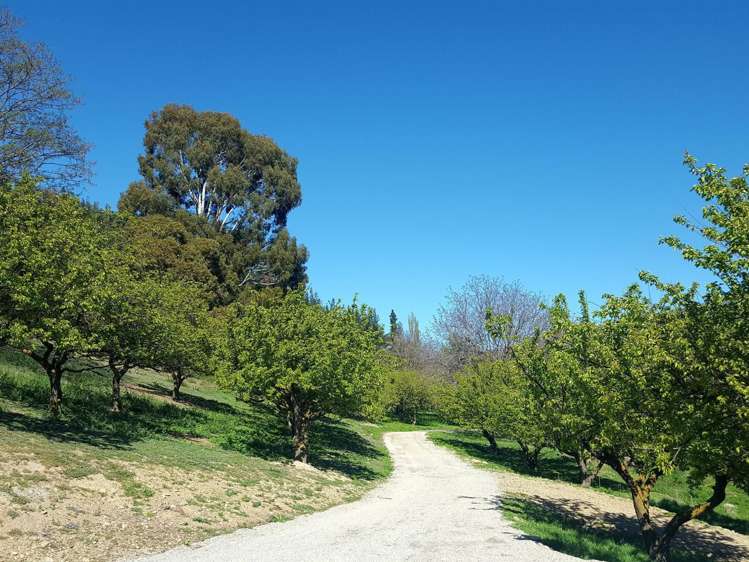 155 Heaney Road Cromwell_8