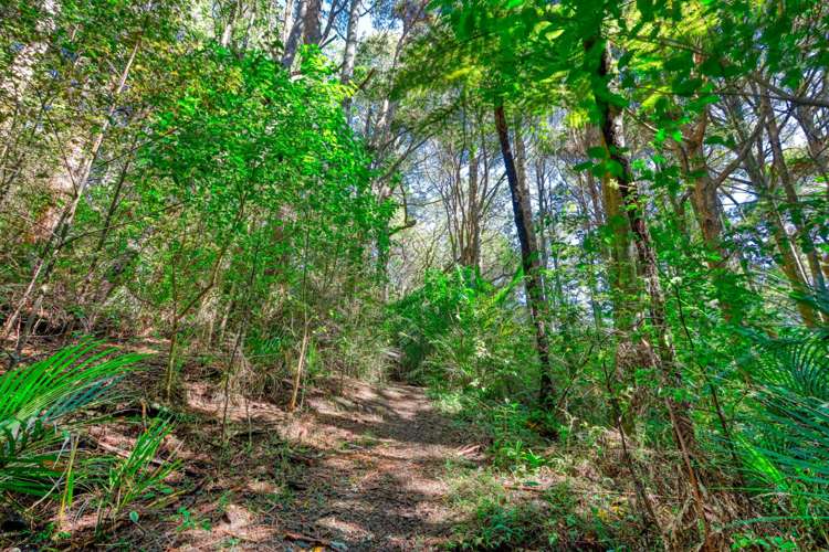 4b Rua Road Mangawhai_32