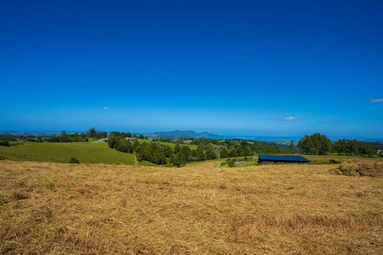 Franklin Road Parua Bay_8