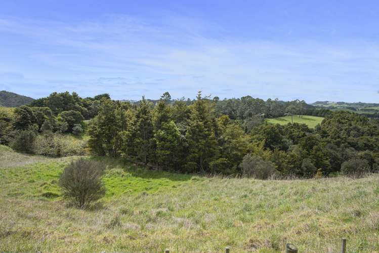 340 Pigs Head Road Hukerenui and Surrounds_15