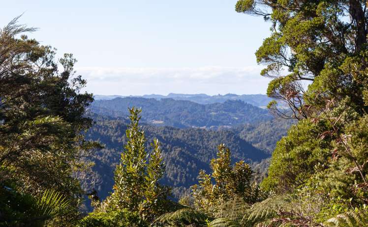 13 Mahakirau Road_2