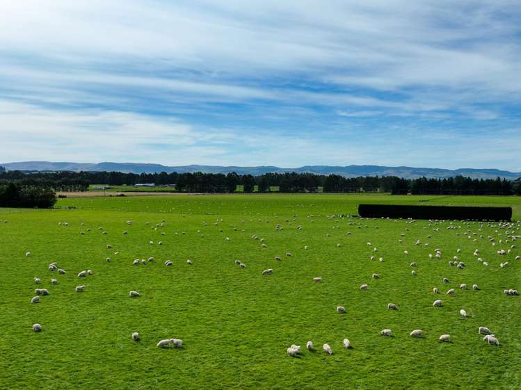 372 Looney Road South Hillend_13