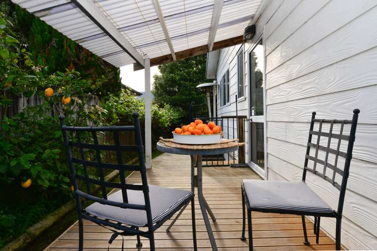 92 Rimu Street Maeroa_4