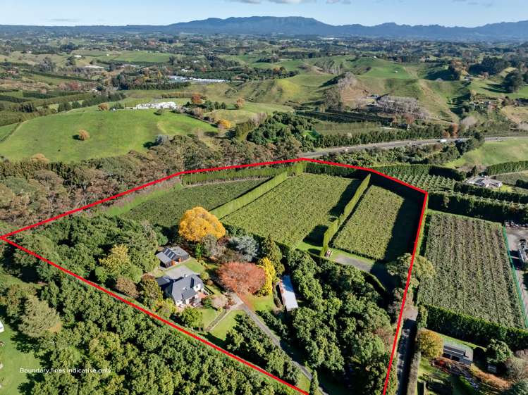 47 Plummers Point Road Whakamarama_30