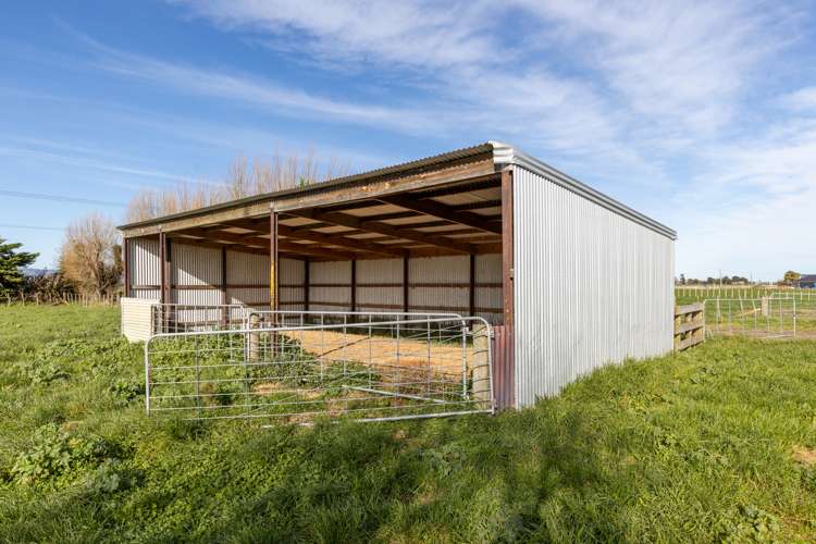 224 Aranui Road Kairanga_16