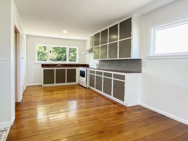30 Clive Street Phillipstown_1