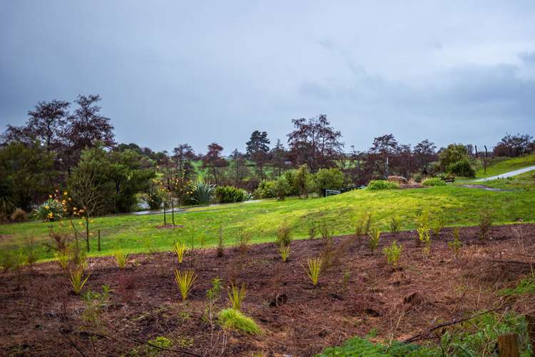 18 Thomas Street Ngaruawahia_8