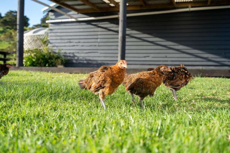 14 Kaiikanui Road Opuawhanga_22