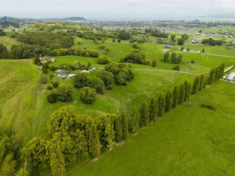 575B Back Ormond Road Makauri_34