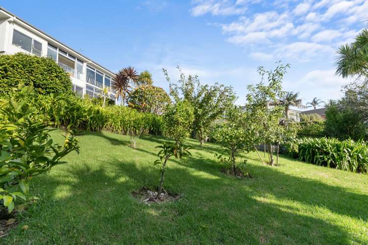 4/26 Springcombe Road St Heliers_16