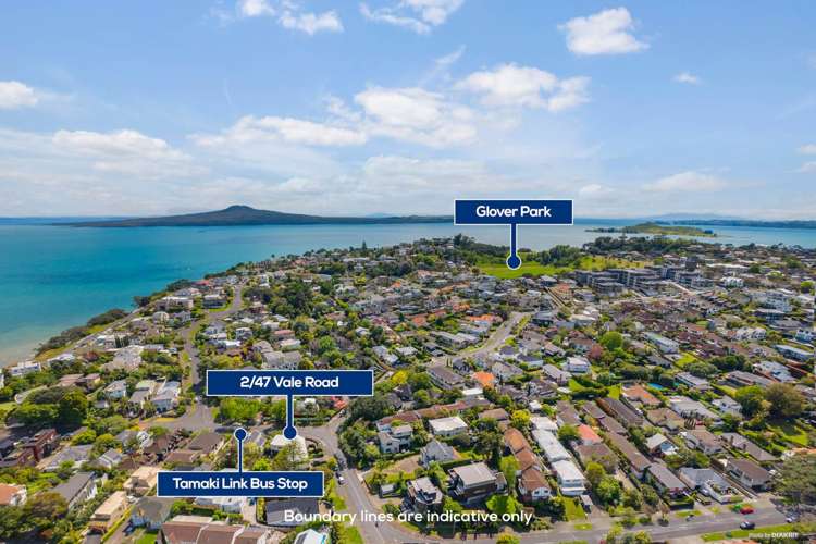 2/47 Vale Road St Heliers_21