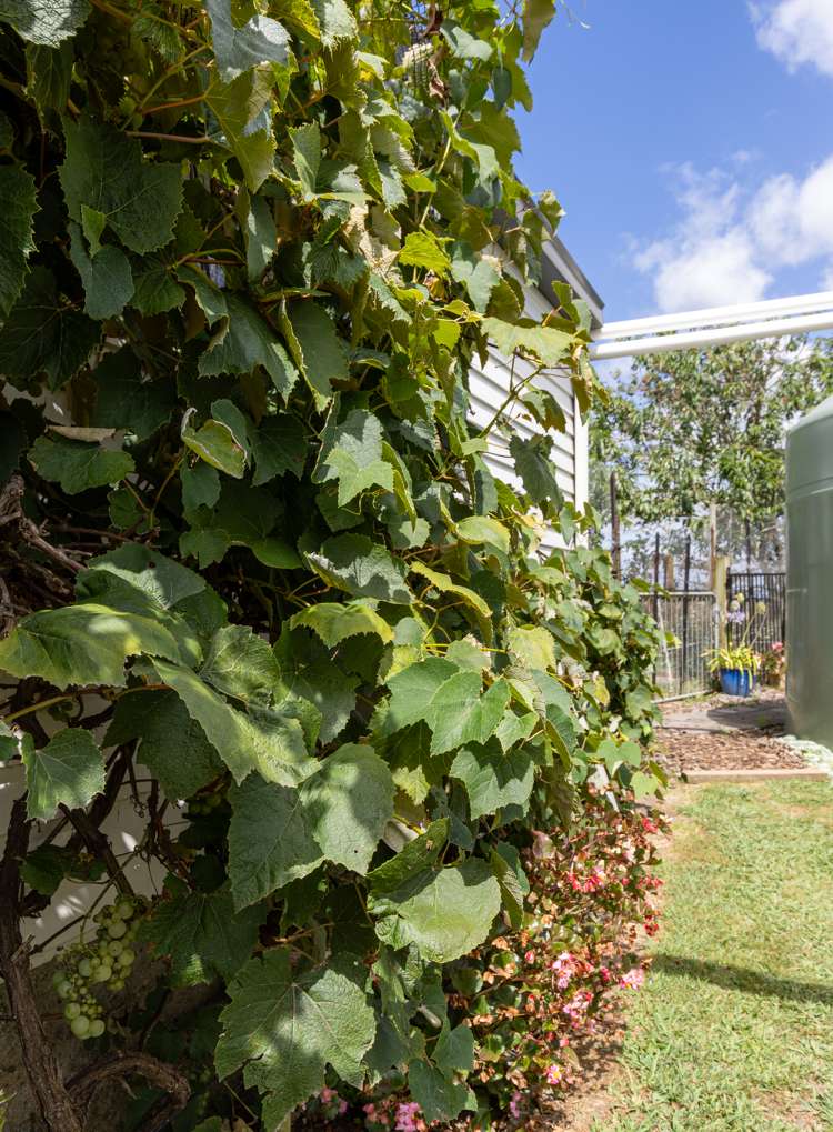 11 Hapuakohe Road Tahuna_28