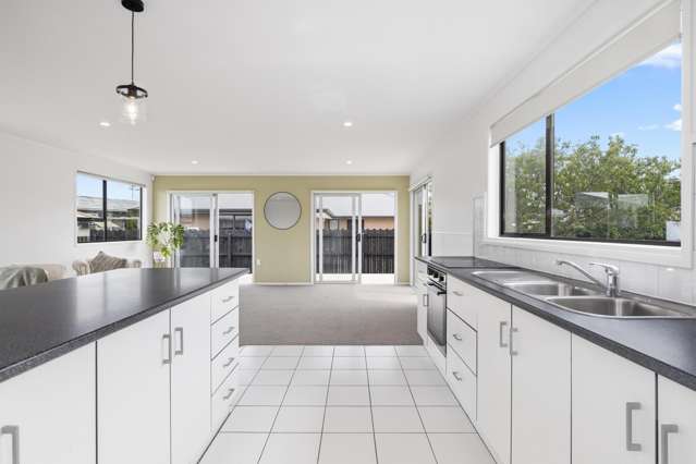 17 Duke Avenue Pukekohe_1