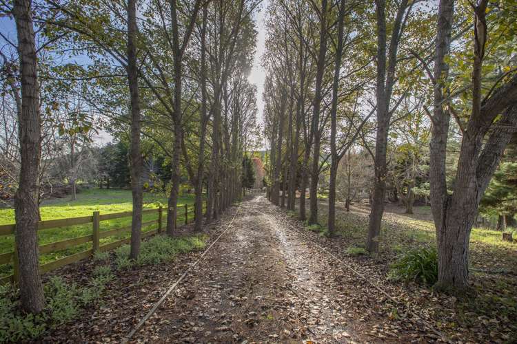 125 Silver Hill Road Wellsford_15