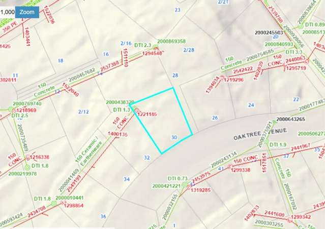 30 Oaktree Avenue Browns Bay_3