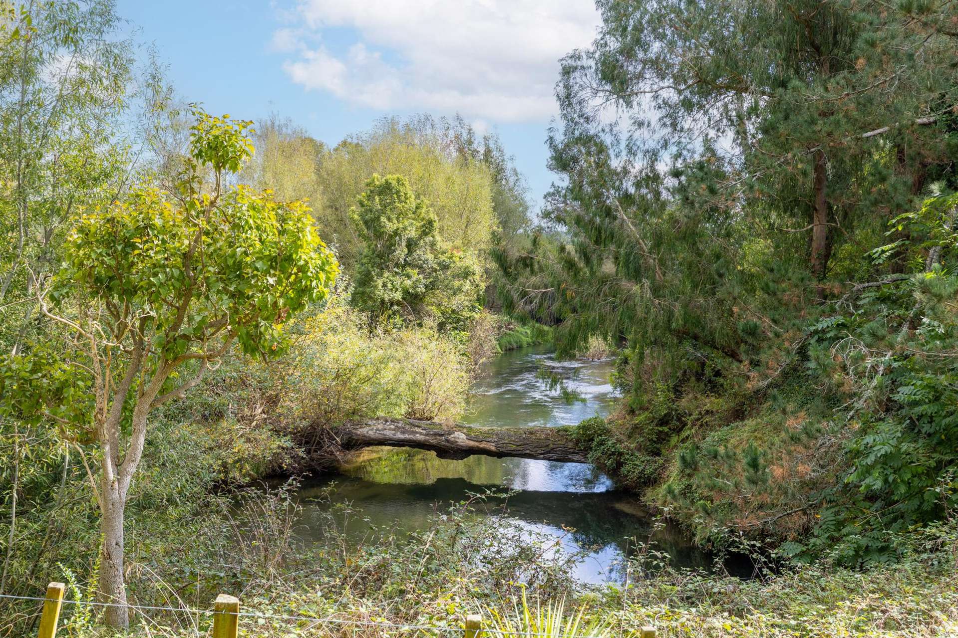 192 Waotu Road Putaruru_0