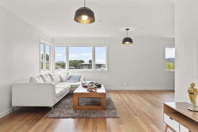 22 Shetland Street Glen Eden_3