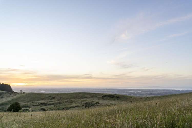 807 Ponga Road Opaheke_19