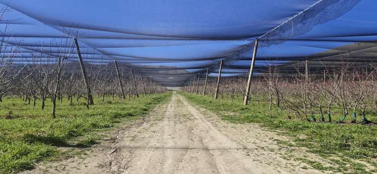 159 Thomson Gorge Road Cromwell_6