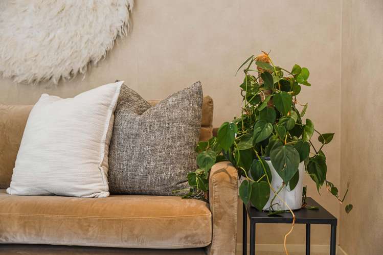 20 Villanova Place Albany_4