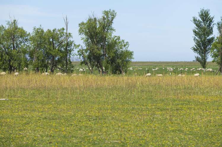 Lot 1 & 4 Dunstan Road Matawhero_5