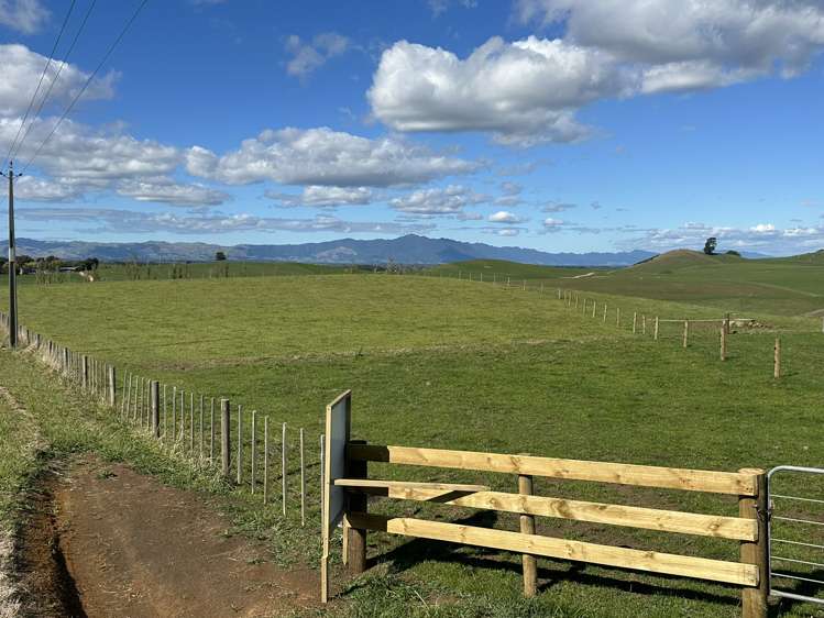 - Quine Road Morrinsville_7