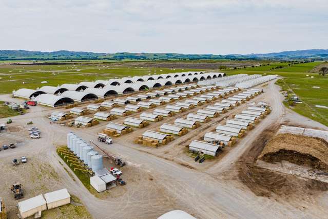 724 Medbury Road Hawarden_2