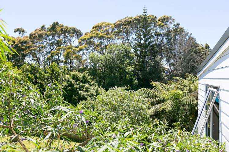 14 Antonia Place Bell Block_33