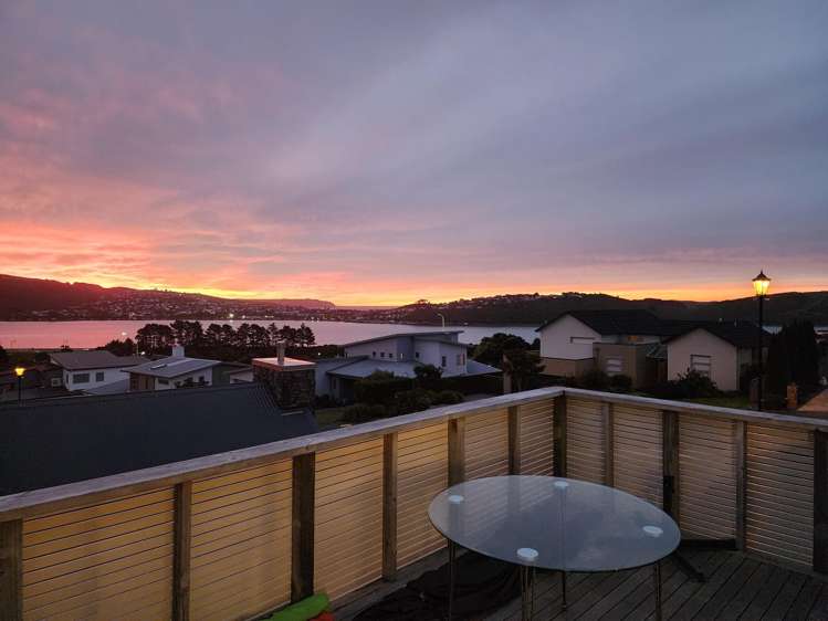 10 Hollyford Place Aotea_29