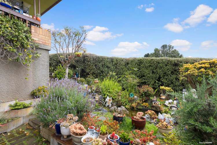 7 Megan Avenue Pakuranga Heights_14